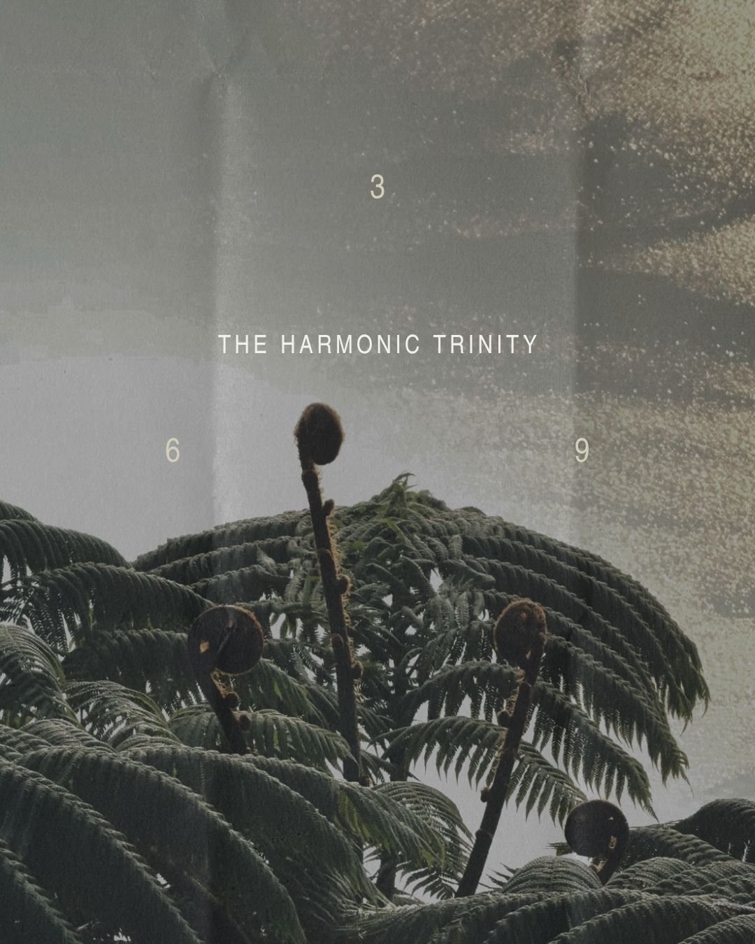 ASTROLOGY + NUMEROLOGY READING