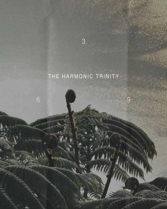 ASTROLOGY + NUMEROLOGY READING